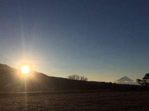 Blog 1.1