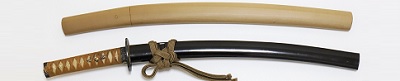 WA-0564