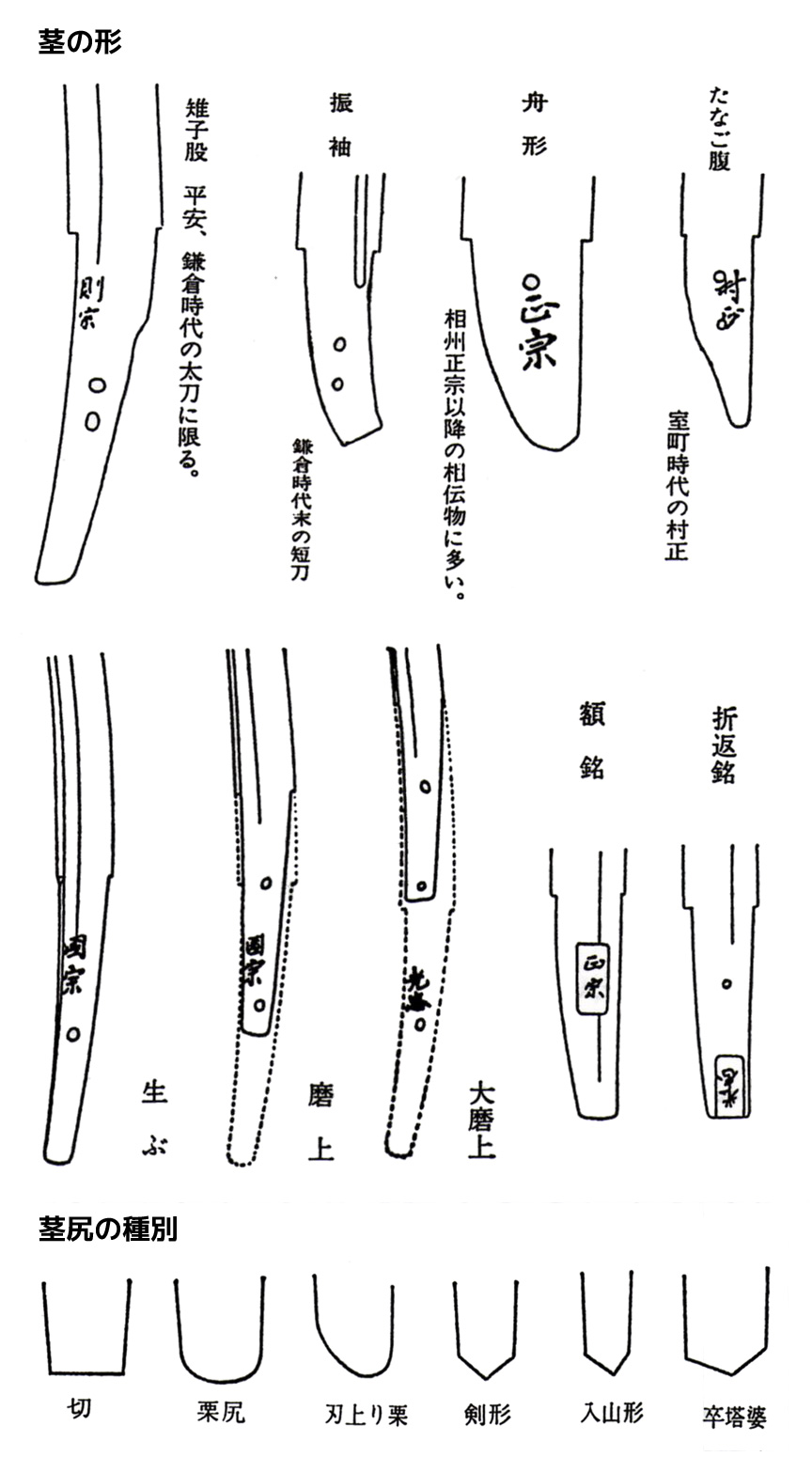 茎の形・茎尻の種別