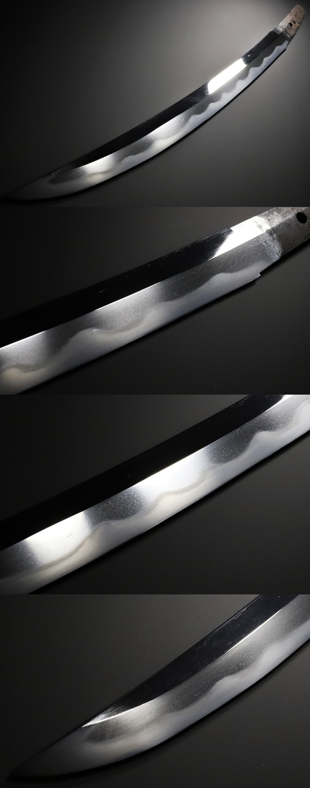 DS-0010