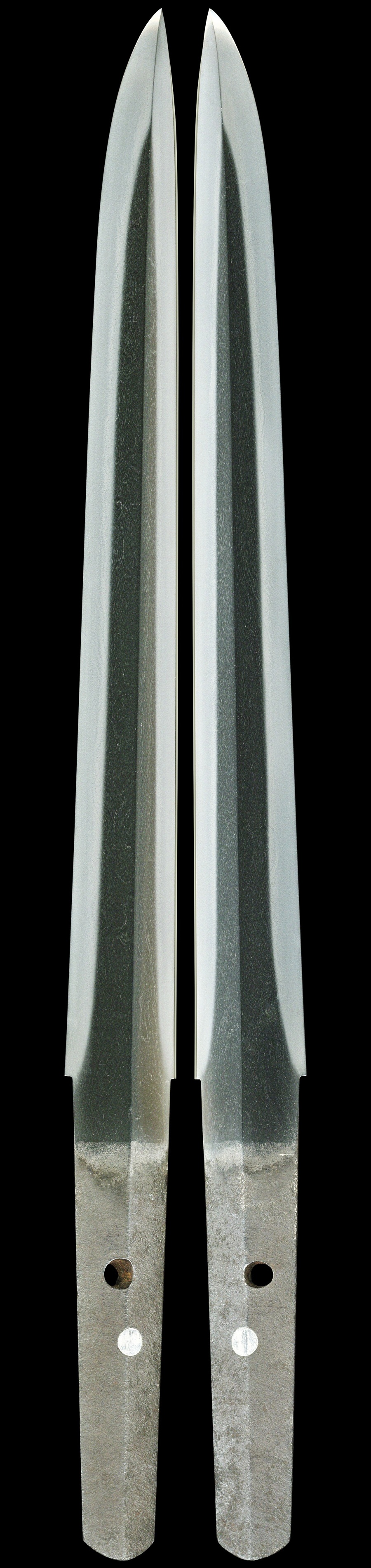 TAN-0356