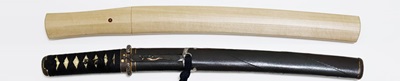 TAN-0360