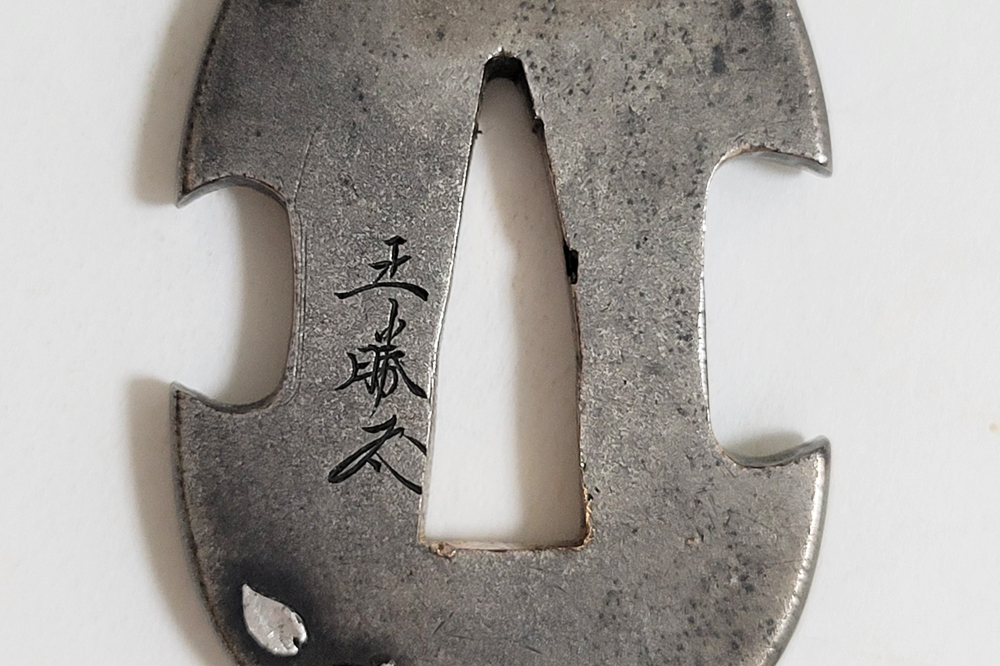 TSU-3101