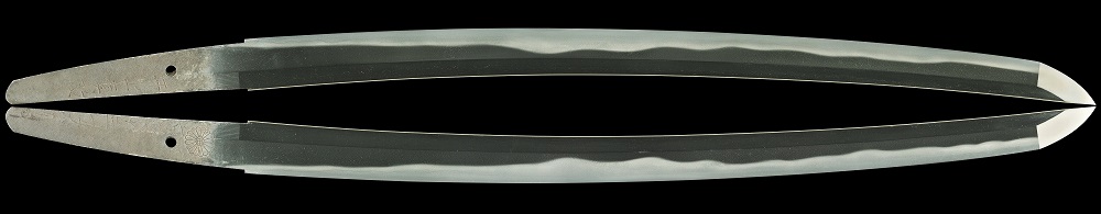 WA-0601