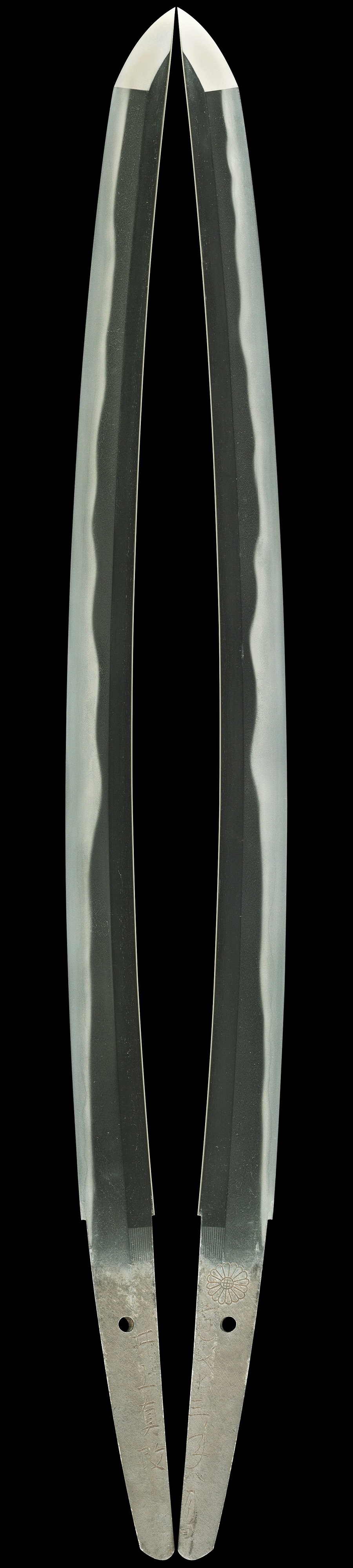 WA-0601