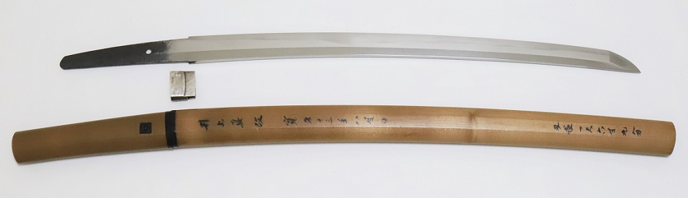 WA-0601