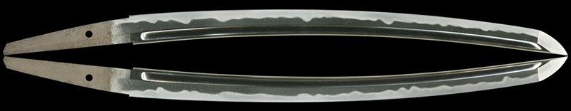 WA-0784